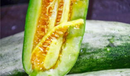 巩义吃瓜爆料网红,揭秘幕后故事与网络热度背后的真相