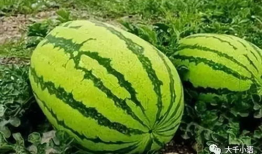 51热门大瓜-吃瓜爆料,揭秘娱乐圈最新爆料，吃瓜群众齐围观