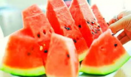 2023校园吃瓜爆料,揭秘校园吃瓜爆料背后的故事